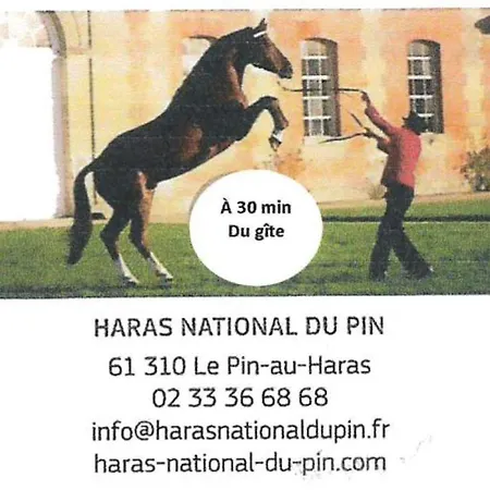 Otel Grande Maison Bourgeoise Renovee Avec Jardin, Vue Imprenable Et Proche Lac - Fr-1-497-11 Neuvy-au-Houlme